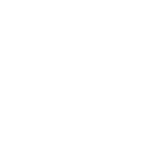 Fog & Light Wines